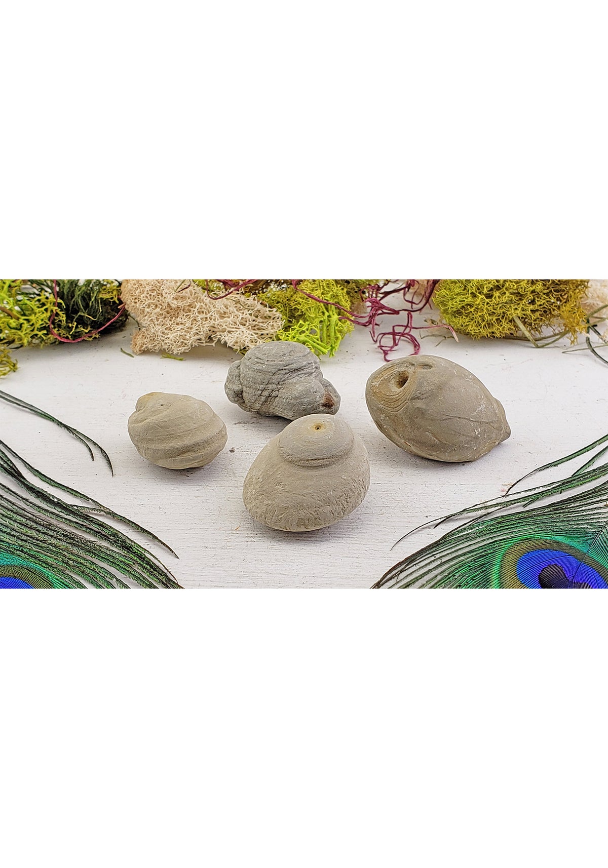 Fairy Stone - Crystal Gemstone Shop