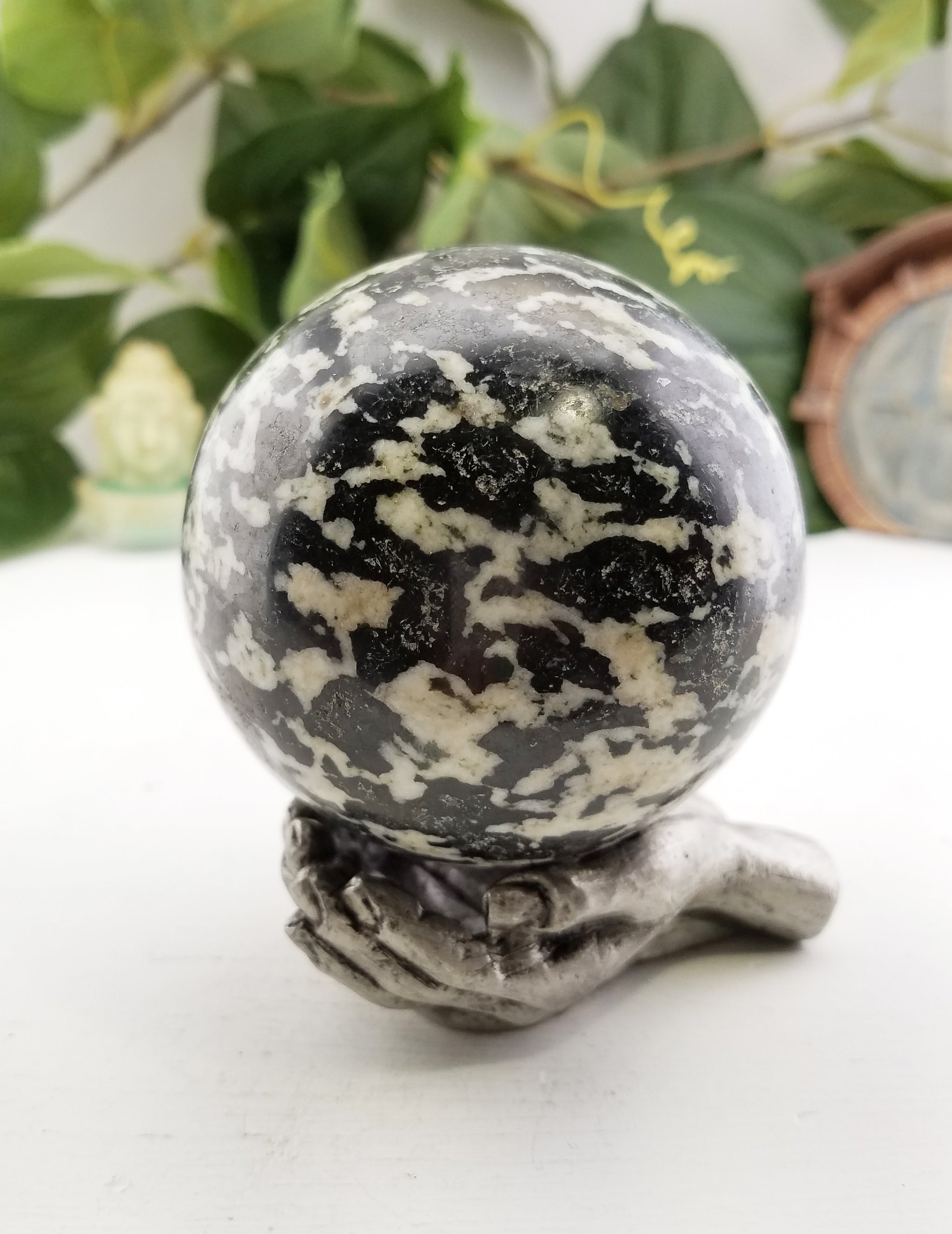 zebra jasper meaning