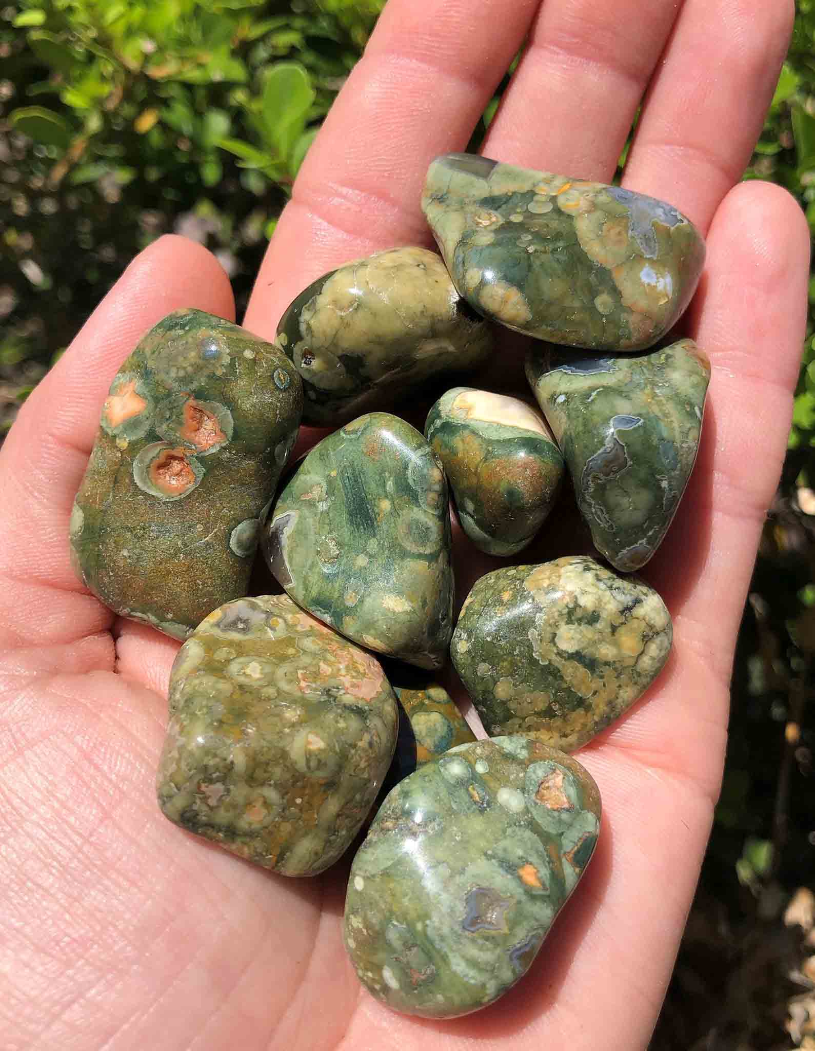 Green Rhyolite Polished Tumbled Gemstone - Crystal Gemstone Shop