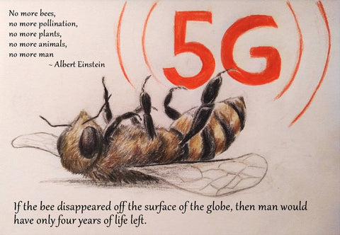 Bees Are Sensitive to 5G Radiation fields