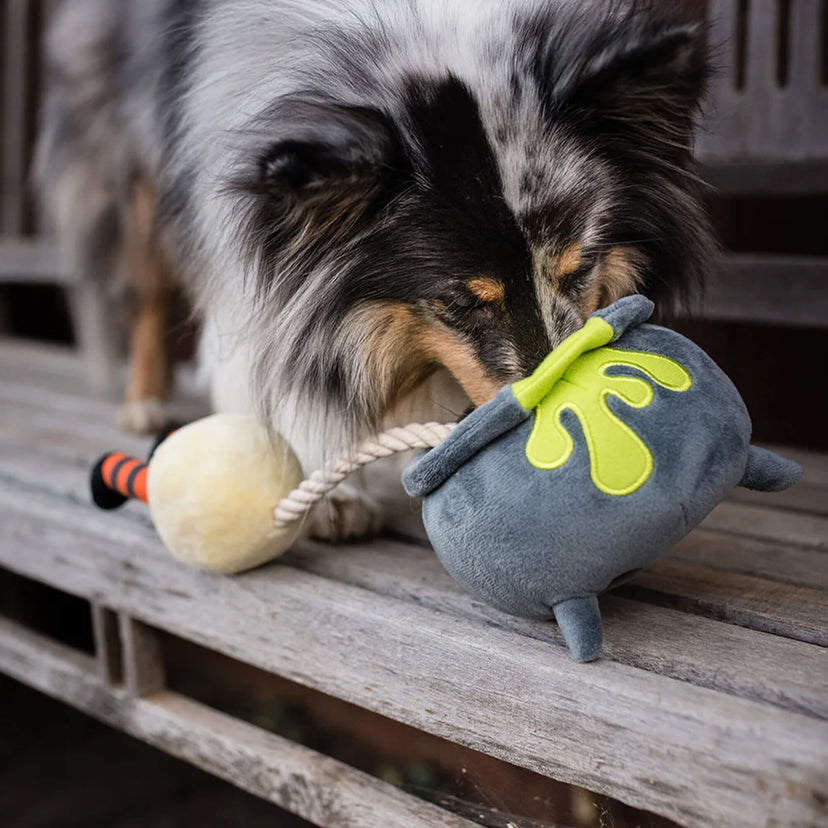 Probierpaket "Trick or Treat" für Hunde