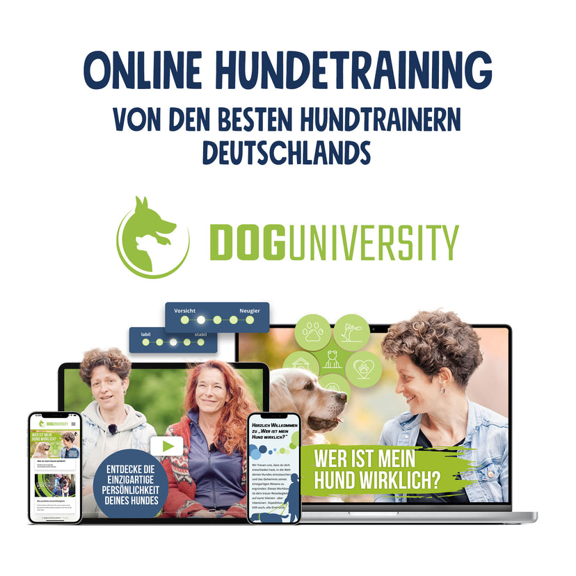 "Kau & Schlecker" Paket und Doguniversity Club Probemonat