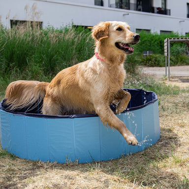 CoolPets Dog Pool