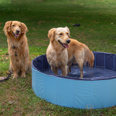 CoolPets Dog Pool