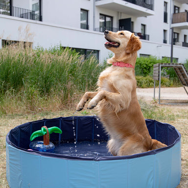 CoolPets Dog Pool