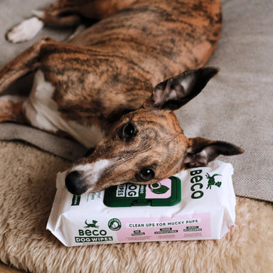 Beco Wipes Feuchttücher für Hunde