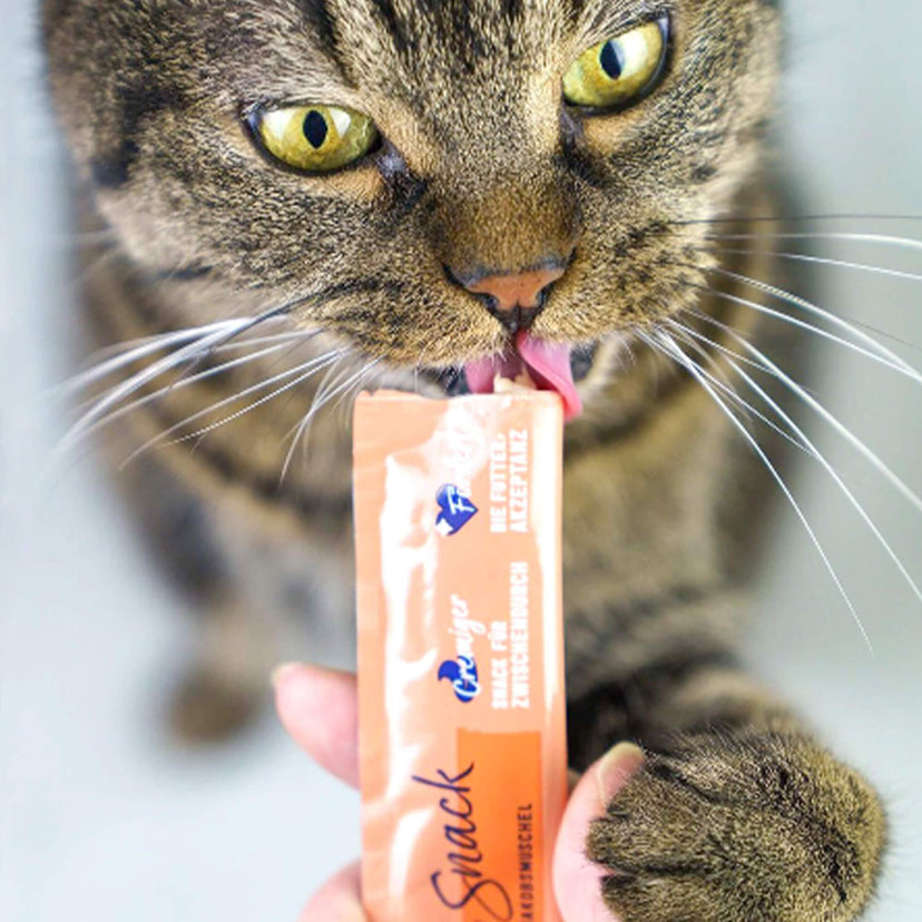 Snack Cremesnack Huhn mit Jakobsmuschel für Katzen