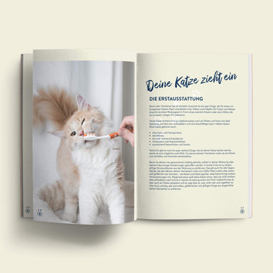 Guide: Meine erste Katze