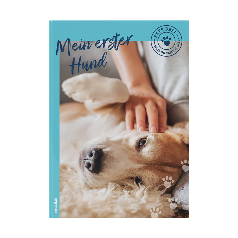 Guide: Mein erster Hund