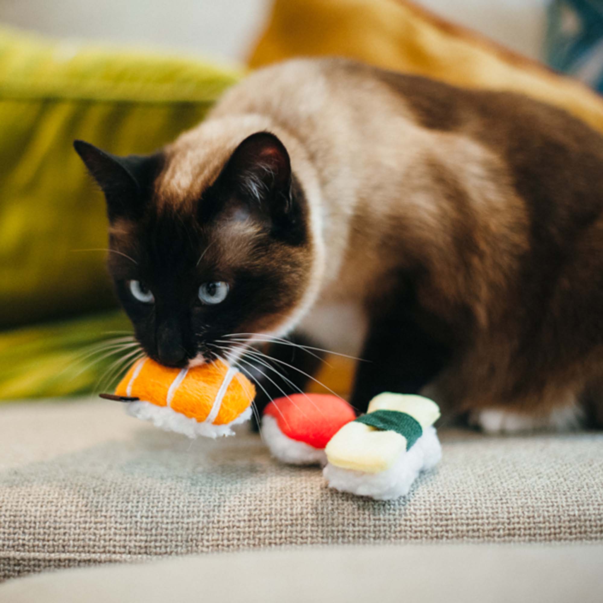 Spielzeug freches Sushi mit Bio-Katzenminze für Katzen
