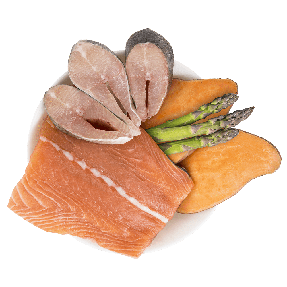 Trockenfutter Futterprobe Forelle &amp; Lachs mit Süßkartoffel und Spargel