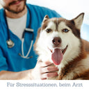 Vital Entspannungstabs für Hunde