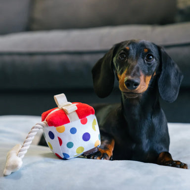 PLAY Spielzeug Party Time Pawfect Present