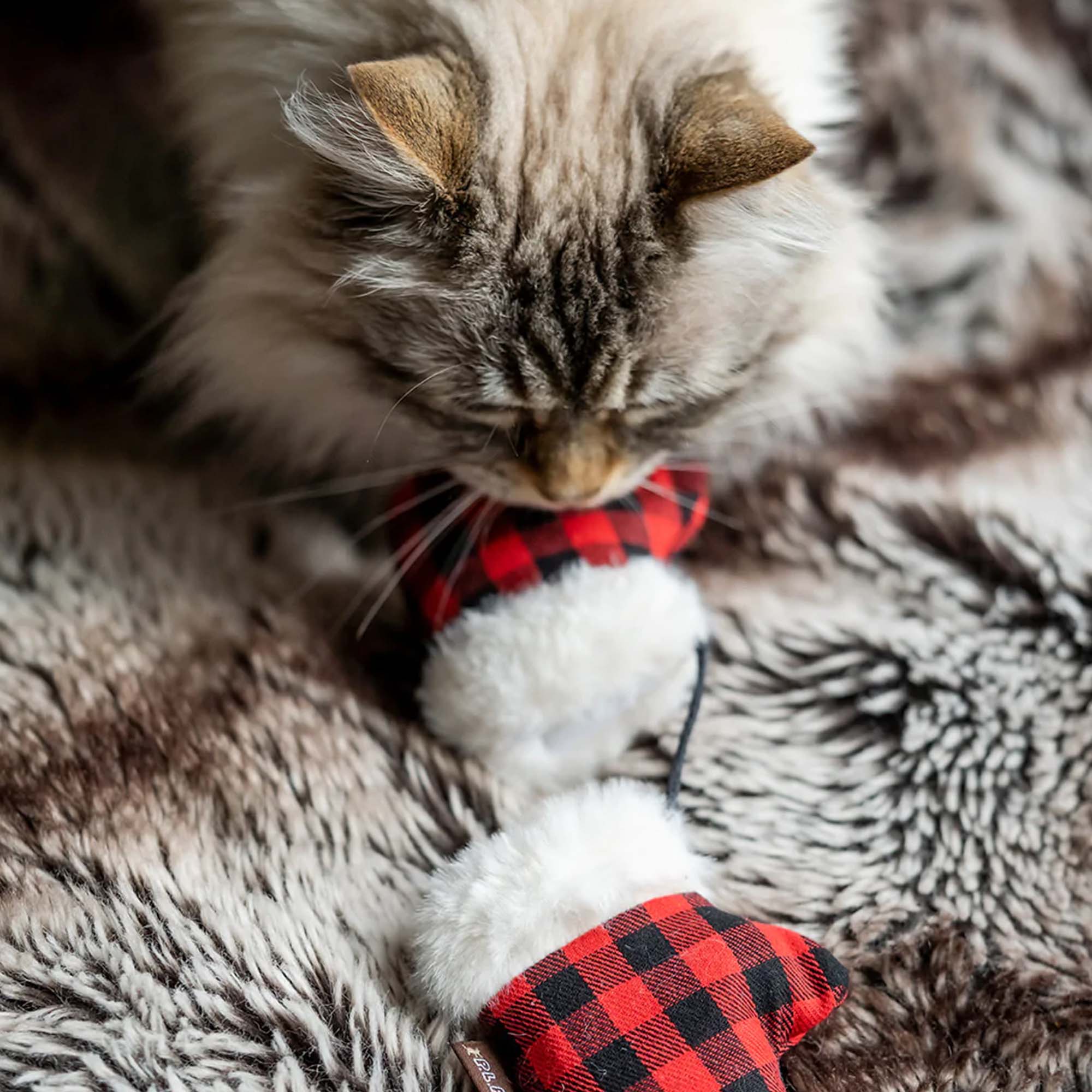 Weihnachten 2023: Flauschige Knister-Handschuhe für Katzen