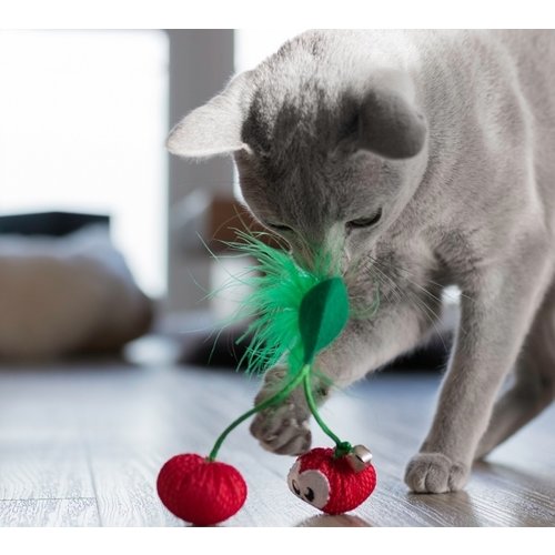 Petstages Katzen Dental Spielzeug Cherries