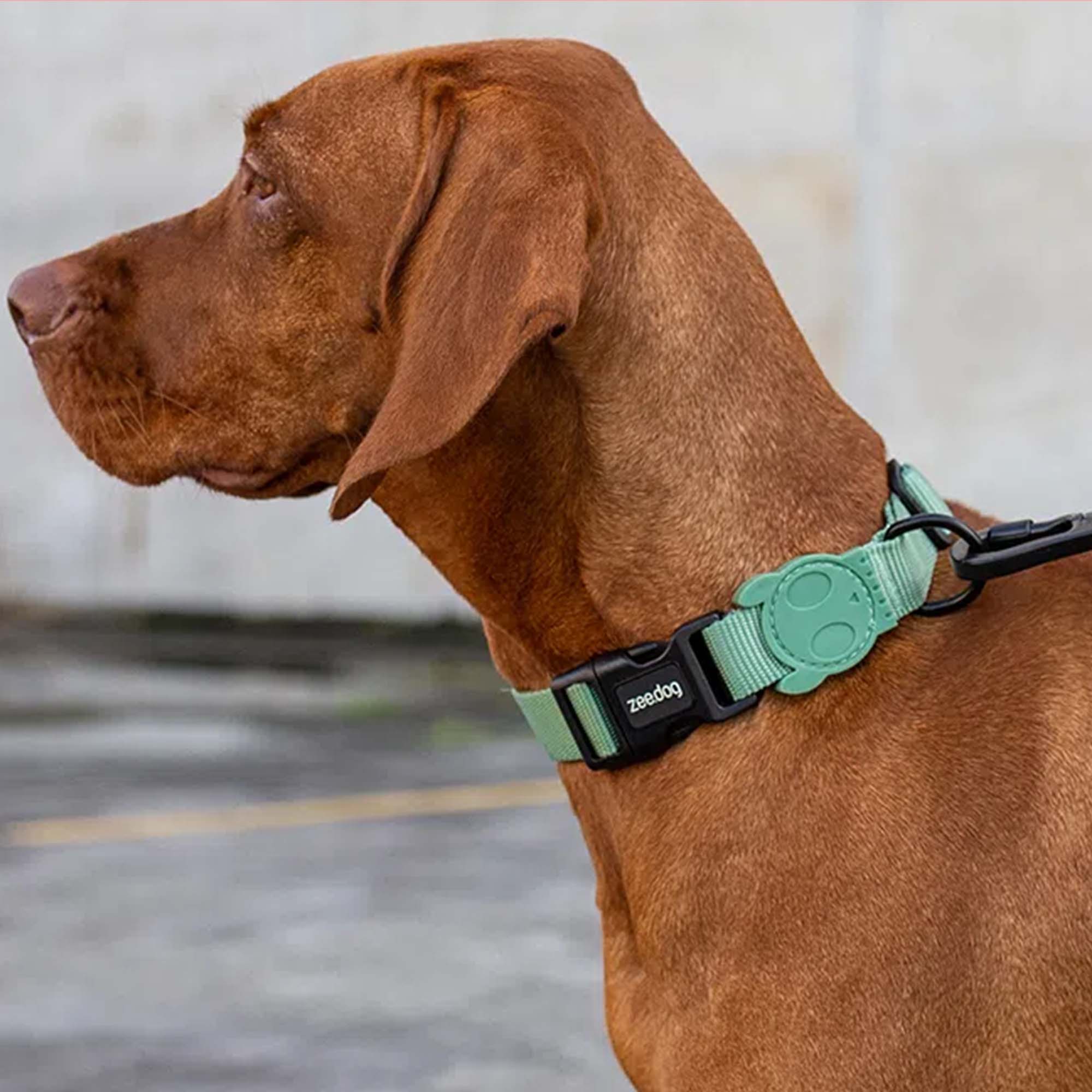 Zee.Dog Hundehalsband Army Green