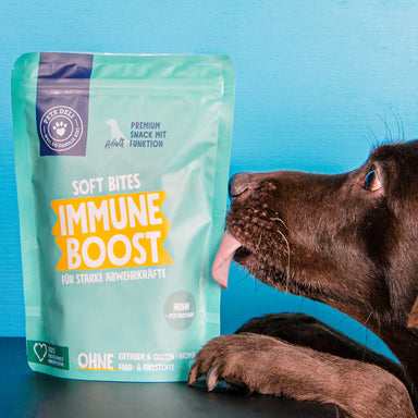 Snack Soft Bites Immune Boost für Hunde
