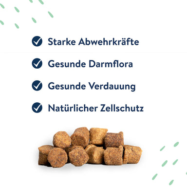 Snack Soft Bites Immune Boost für Hunde