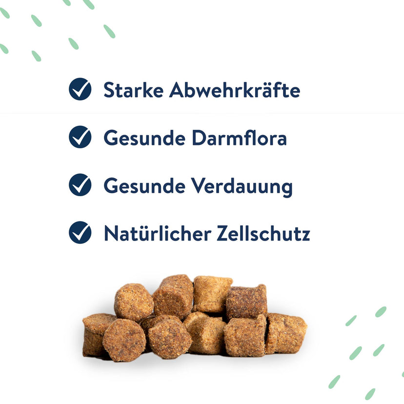 Snack Soft Bites Immune Boost für Hunde