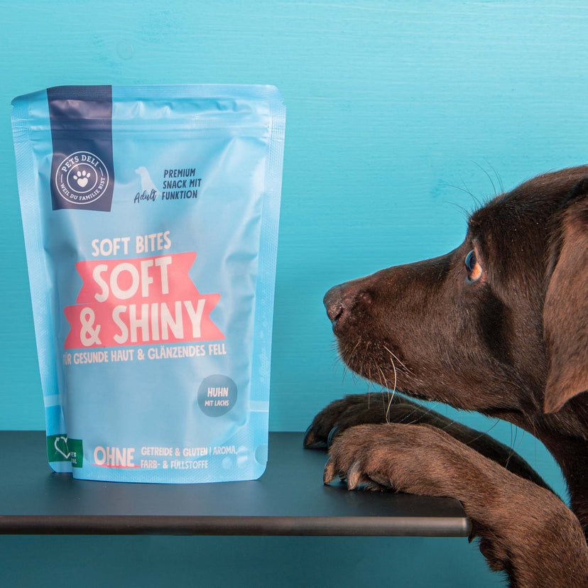 Snack Soft Bites Soft & Shiny für Hunde