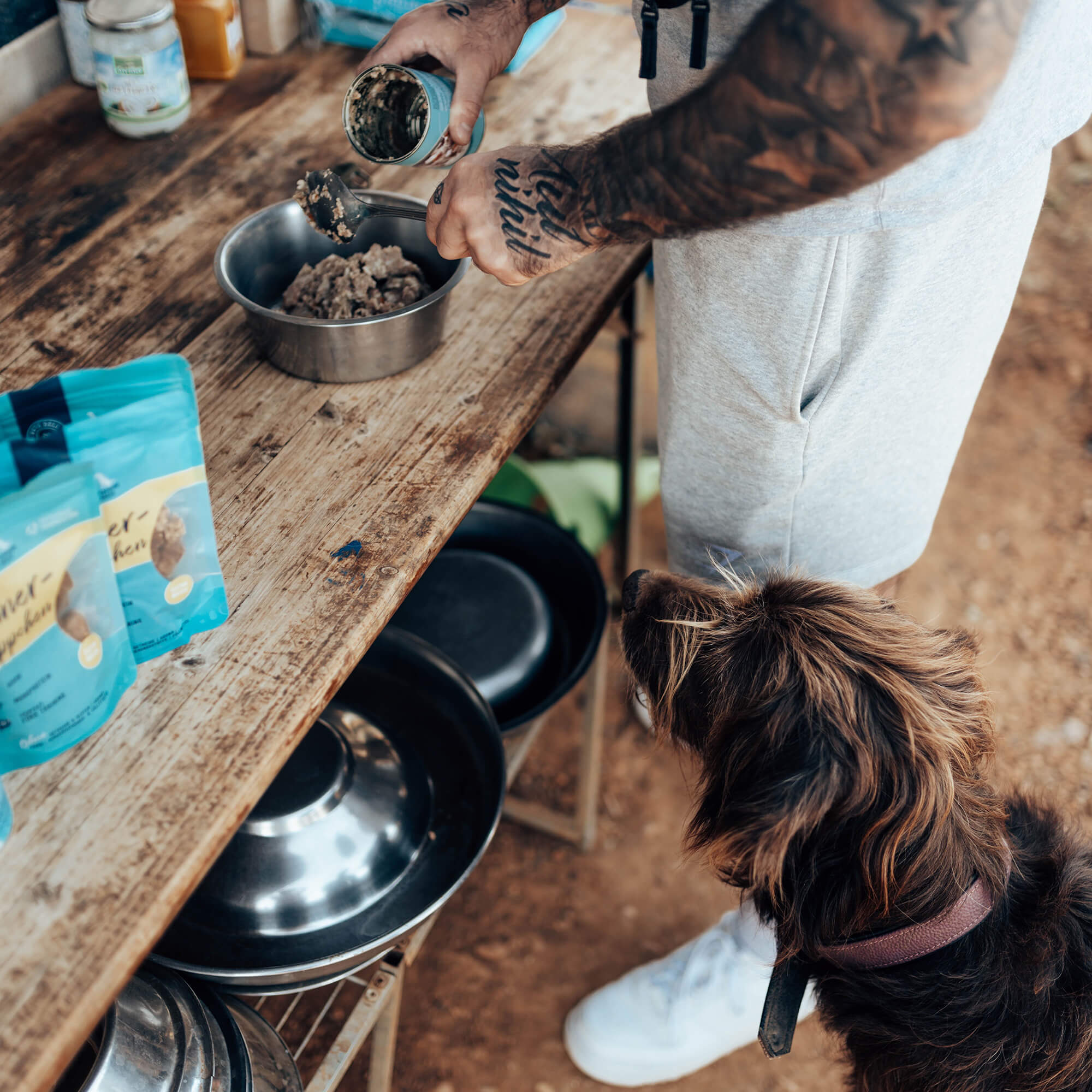 Virtuelles Spendenpaket für Hunde & Katzen