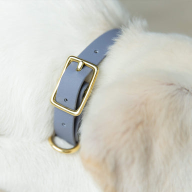 Zubehör Halsband Leinen Set Biothane Olive/Grün für Hunde