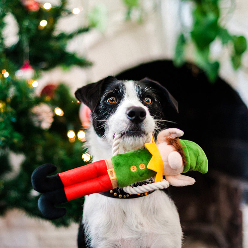 Weihnachten 2023: Santa's helfende Elfe für Hunde