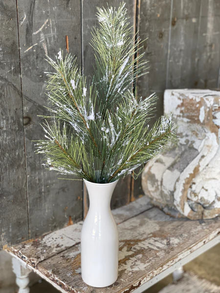 Silver Fir Spray with Snow | 24"