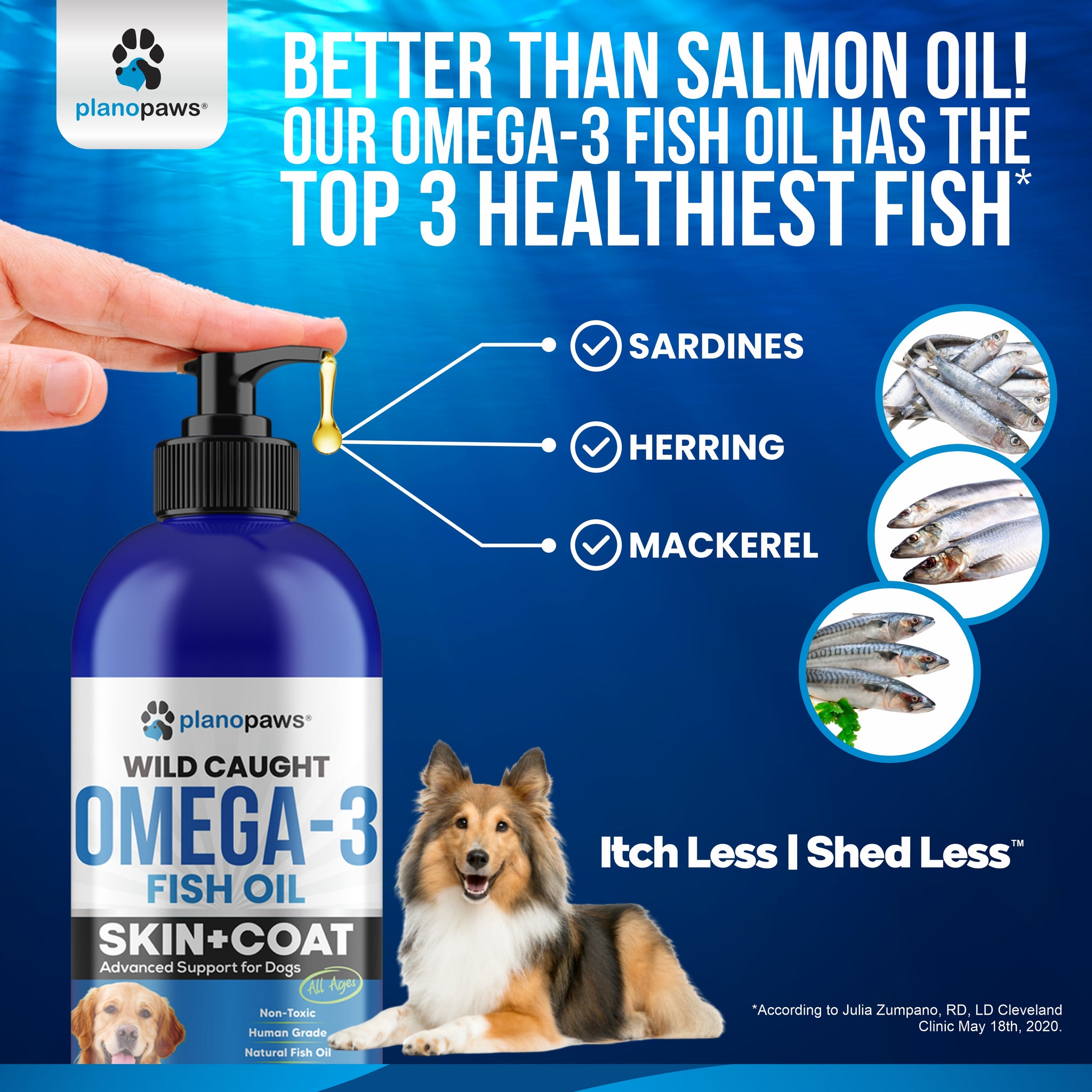 do dogs need different fish oil than human