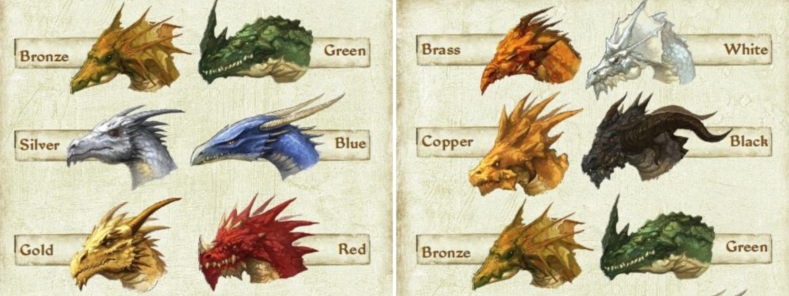 signification couleurs dragon