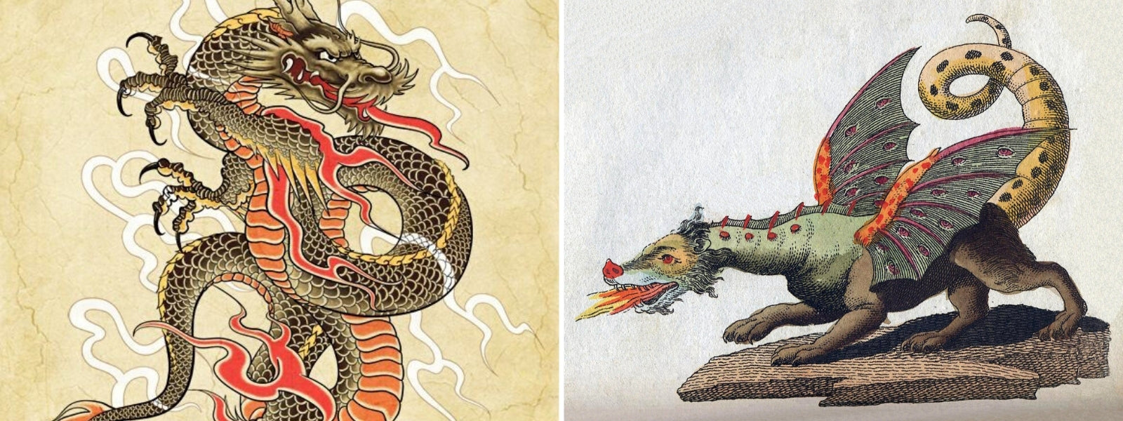 Dragon Japonais : Histoires & Légendes