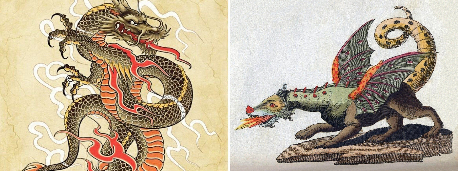 Le dragon chinois de chance et de protection