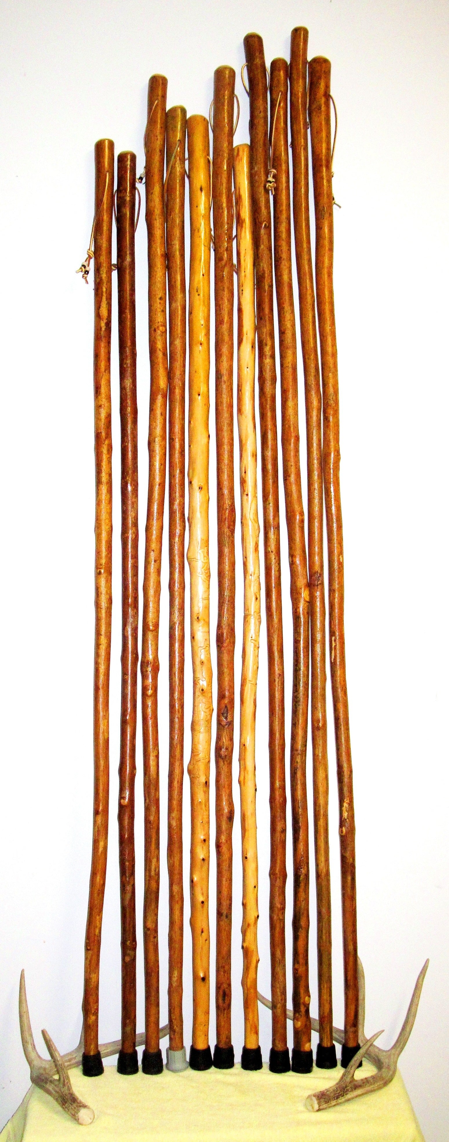 Kentucky Walking Sticks 1969