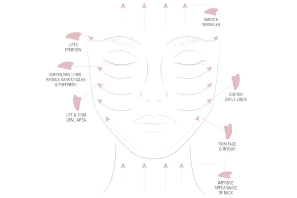 gua sha chart of face