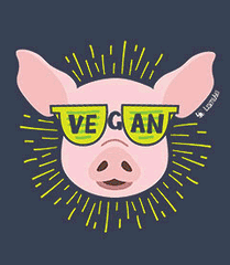 Vegan Sunglasses Collection