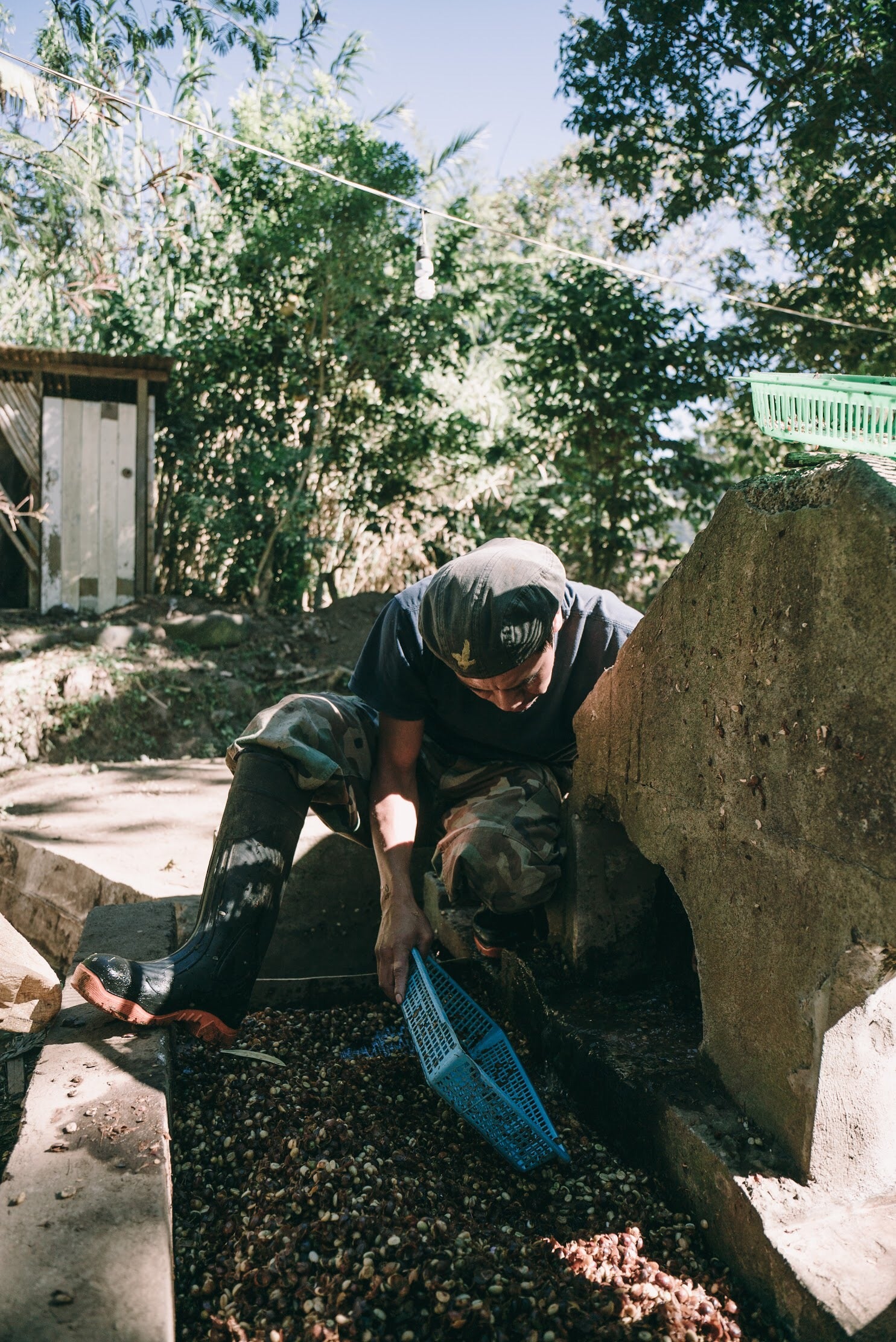 Guatemalan coffee producer by Cory Popp