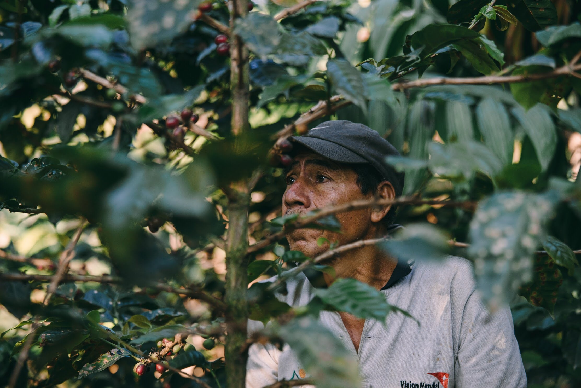 Guatemala Coffee Farmers by Cory Popp 