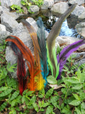 Color Splashed Pirate Rooster Feathers