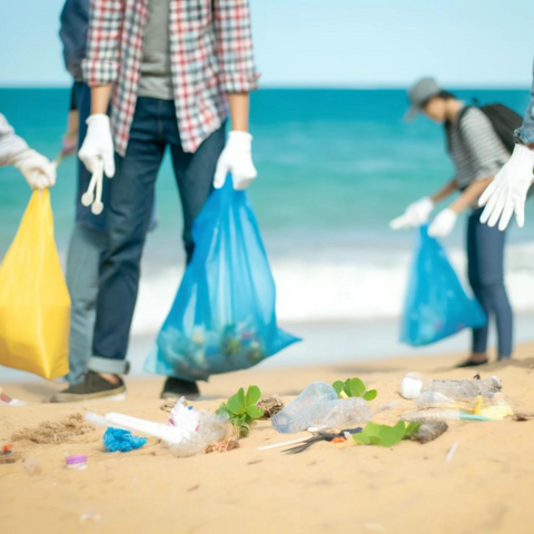 Shore Buddies Beach Clean up.png