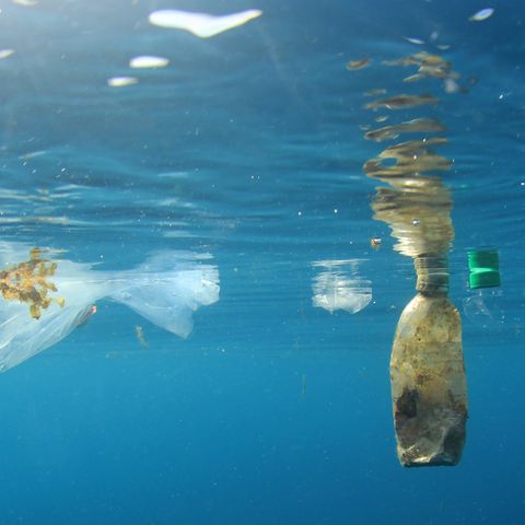 Plastic floating in the Ocean.jpg