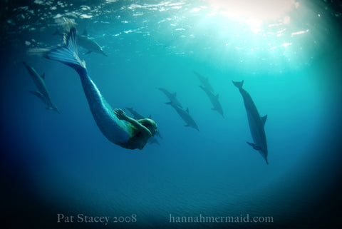 Hannah Fraser swimming as a mermaid with dolphins
