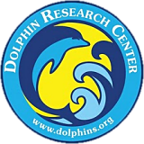 Dolphin Research Center - logo.png