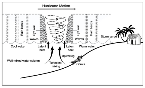 Hurricane method.png