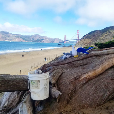 Shore Buddies Beach Clean Up under the Golden Gate Bridge.jpg