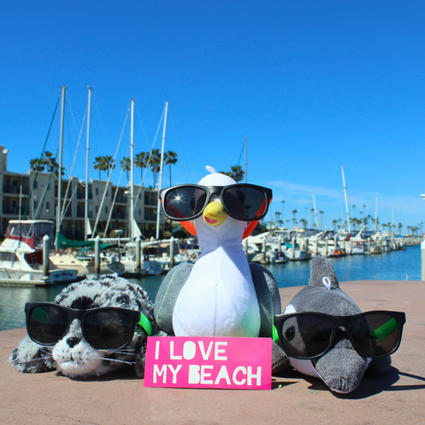 Shore Buddies Stephen Seagull, Sammy the Seal and Finn the Dolphin I love my beach.png