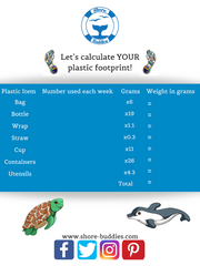 Shore Buddies helps you to calculate your plastic footprint.png