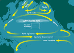 Pacific Garbage Patch location.jpg