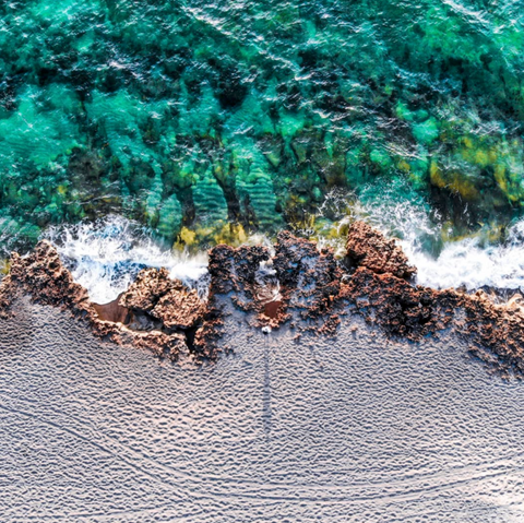 Barrier Reef photo from Instagram @javifigs