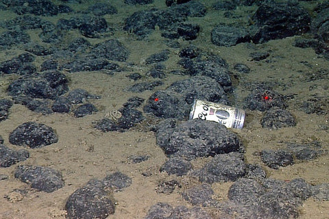 can on bottom of ocean floor.jpg