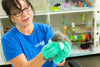 San Diego Humane Society Project Wildlife - fostering animal.png